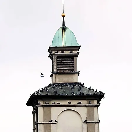 Отель Hecht